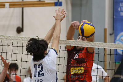 CAVALLINO 4 TORRI - HOKKAIDO BOLOGNA