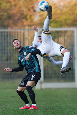 SANPAIMOLA - SPAL ARS ET LABOR