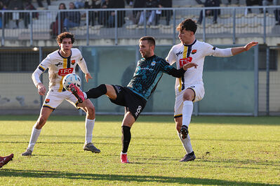 SANPAIMOLA - SPAL ARS ET LABOR