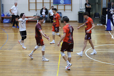 CAVALLINO 4 TORRI - HOKKAIDO BOLOGNA