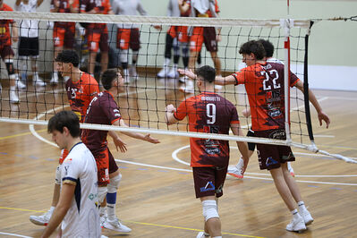 CAVALLINO 4 TORRI - HOKKAIDO BOLOGNA