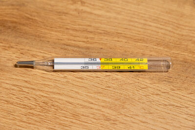 INFLUENZA STAGIONALE