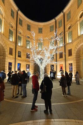 MOSTRA MARCO CASELLI NIRMAL ROTONDA FOSCHINI