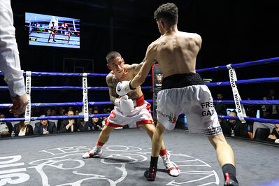 TITOLO MONDIALE PESI MEDI E ITALIANO PESI MOSCA