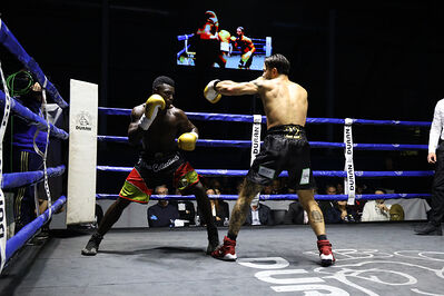 TITOLO MONDIALE PESI MEDI E ITALIANO PESI MOSCA