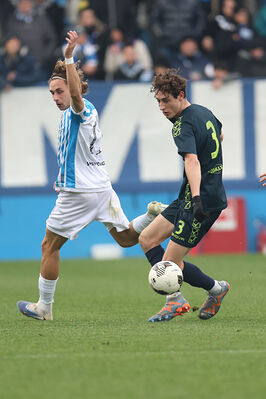 SPAL ARS ET LABOR - SAMPIERANA