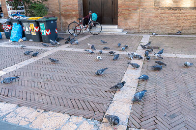 TESTINE NATALE 2025 FERRARA