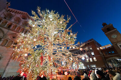 ACCENSIONE ALBERO DI NATALE FERRARA