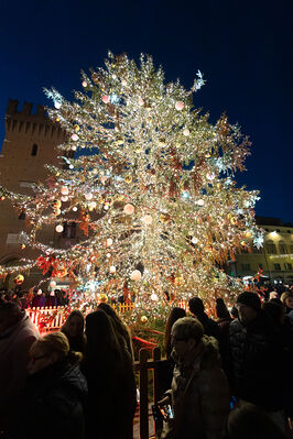 ACCENSIONE ALBERO DI NATALE FERRARA