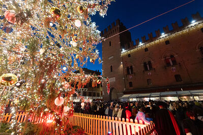 ACCENSIONE ALBERO DI NATALE FERRARA