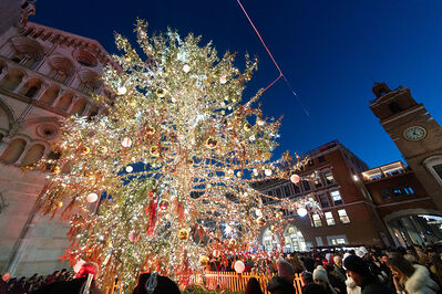 ACCENSIONE ALBERO DI NATALE FERRARA