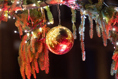 ACCENSIONE ALBERO DI NATALE FERRARA