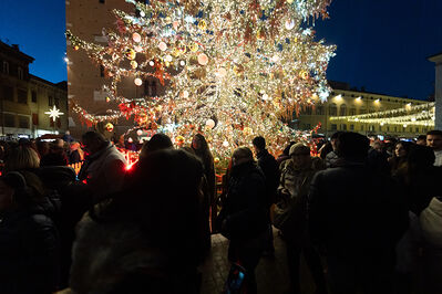 ACCENSIONE ALBERO DI NATALE FERRARA