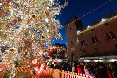 ACCENSIONE ALBERO DI NATALE FERRARA