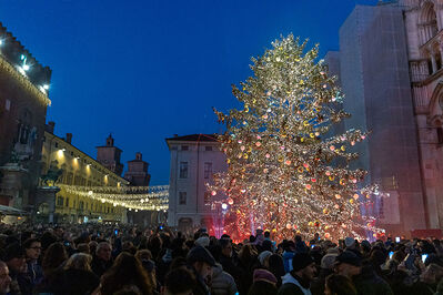 ACCENSIONE ALBERO DI NATALE FERRARA