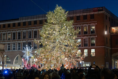 ACCENSIONE ALBERO DI NATALE FERRARA