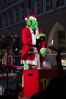ACCENSIONE ALBERO DI NATALE FERRARA